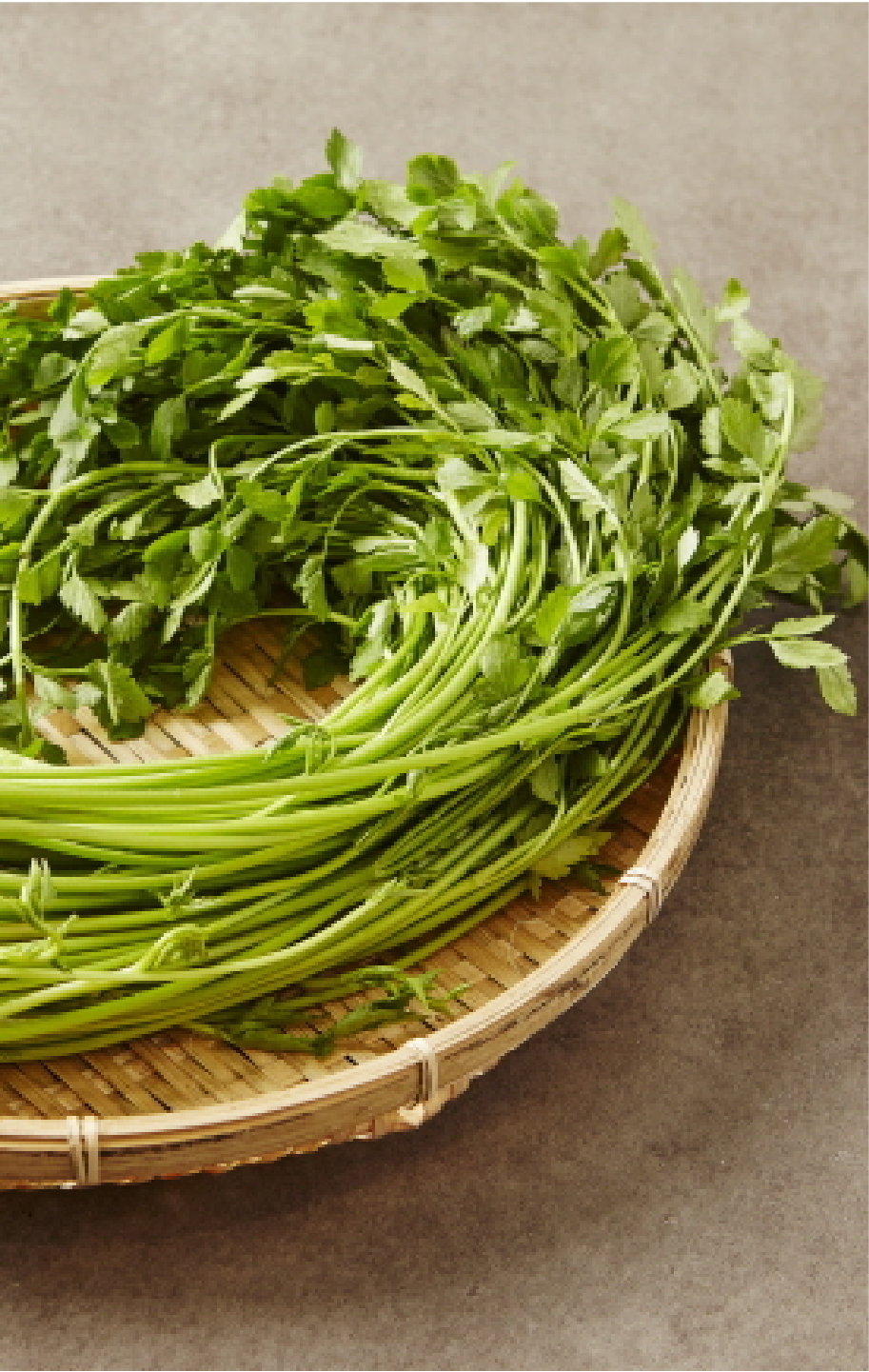 프랜차이즈사진1