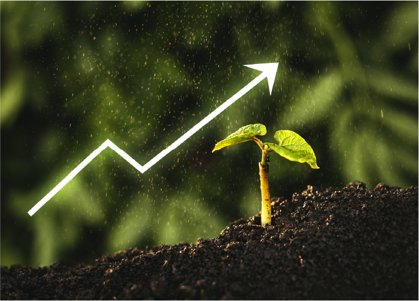 프랜차이즈사진3